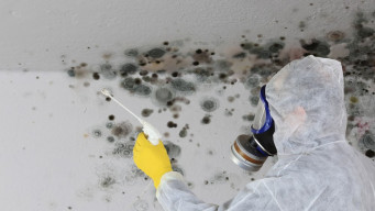 Mold Remediation in Colorado Springs: Why Homeowners, Property Managers, Realtors, and Home Inspectors Trust Best Option Restoration