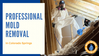 Professional Mold Removal in Colorado Springs: Why Attic Mold Can’t Wait