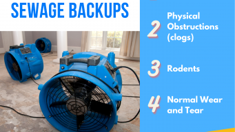 Sewage Backup Facts Every Colorado Springs Homeowner Should Know: