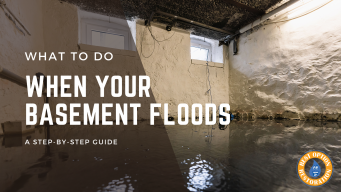 What To Do When Your Basement Floods